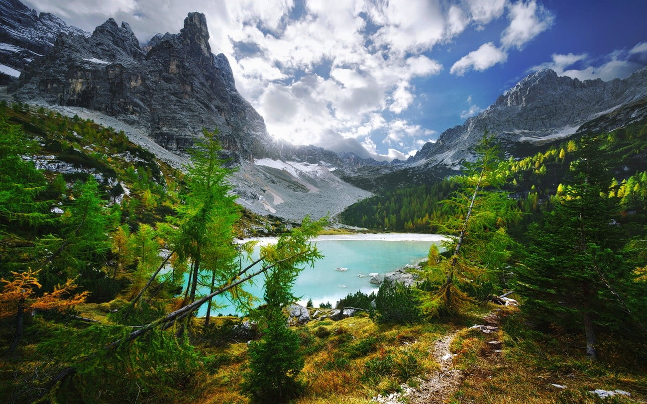 green leaf tree and green grass, landscape, mountains, clouds, lake