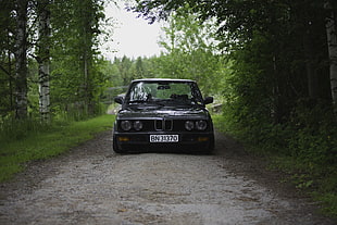 black car, BMW E28, Squatty HD wallpaper