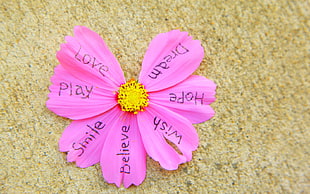 pink cosmos flower with text printed