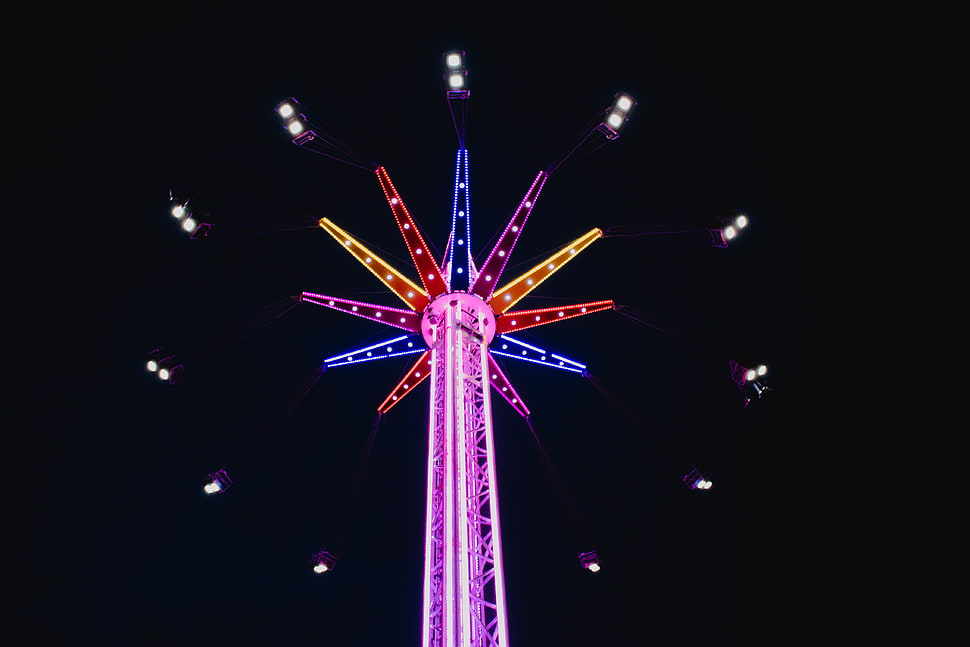 pink and multicolored lighted ferris wheel HD wallpaper