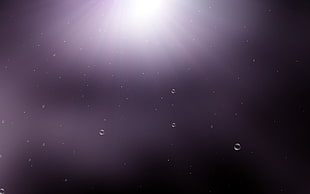 Light,  Shine,  Surface,  Drops