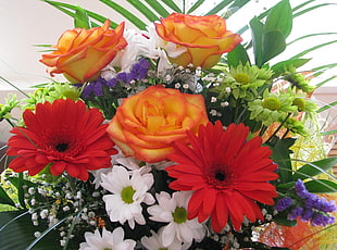 multi colored flower bouquet HD wallpaper