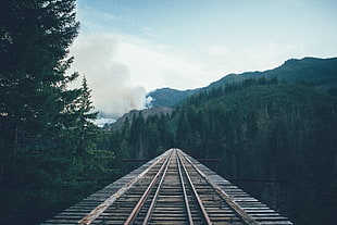 low-angle photography of train track with forest background