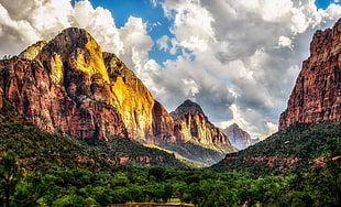 mountain and trees wallpaper, Zion National Park, Utah, trees, clouds