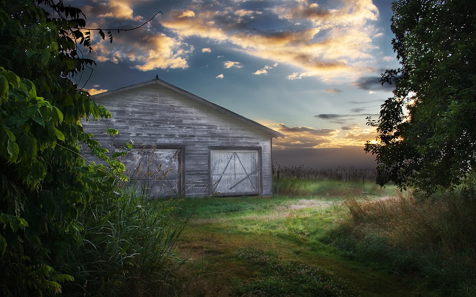 gray wooden barn near two green trees HD wallpaper
