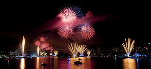 fireworks display, explosion, fireworks, Sydney HD wallpaper