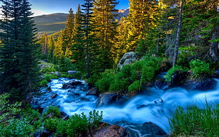 time lapse photography of body water surround with trees and grass