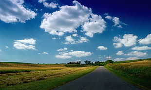 landscape photo of pathway between green grass field