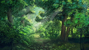green leafed trees during daytime painting, sunlight, forest, green, Everlasting Summer