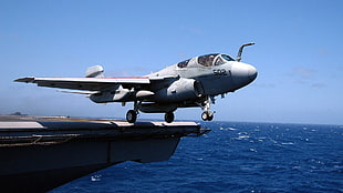 white and black RC helicopter, Northrop Grumman EA-6B Prowler, airplane, aircraft, military aircraft