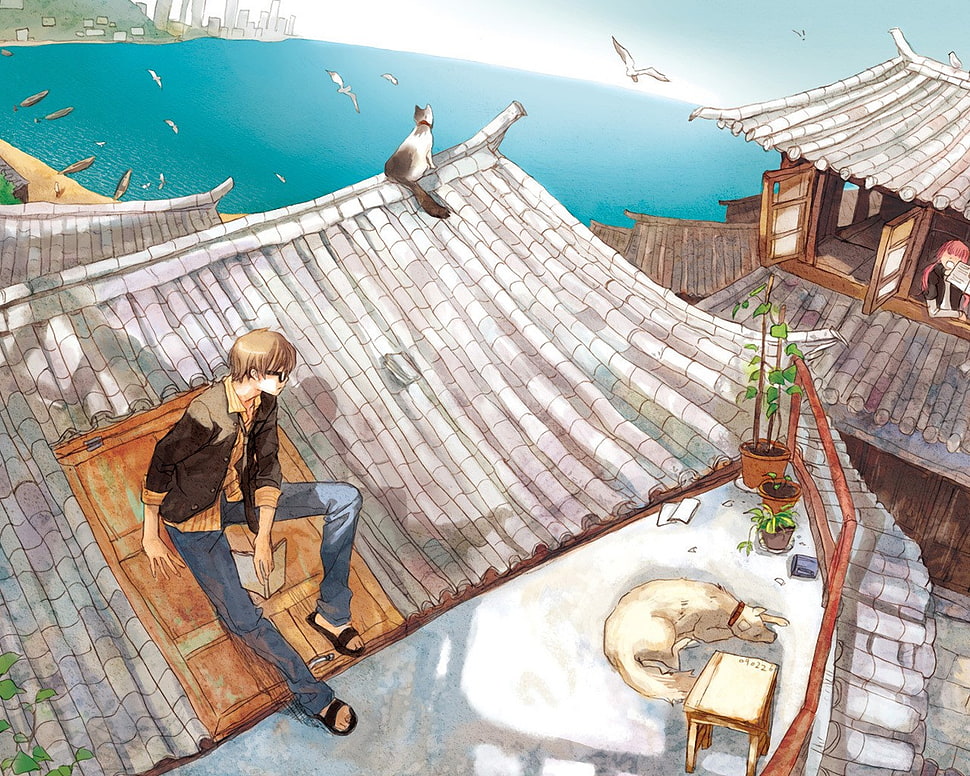 man sitting on roof anime character illustration HD wallpaper