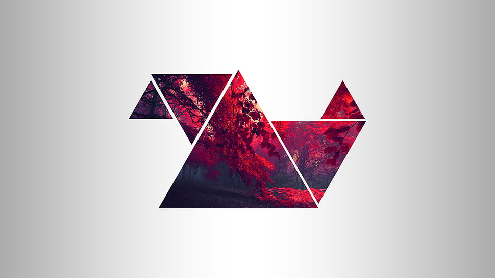 red and black floral wall art, forest, red, triangle HD wallpaper