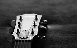 guitar headstock, guitar, musical instrument, monochrome