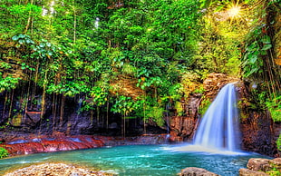 time lapse photography of waterfall at the jungle surrounded by trees, nature, landscape, waterfall, forest HD wallpaper