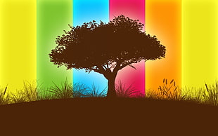 silhouette of tree with multicolored background digital wallpaper