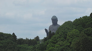 Buddha statue, Buddhism, Buddha, statue, forest HD wallpaper