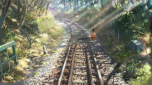 brown train tracks, Hoshi wo Ou Kodomo HD wallpaper