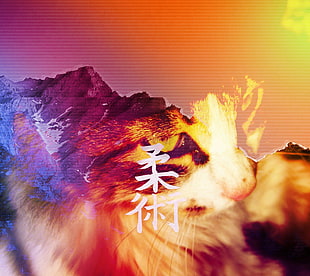 mountain with text overlay digital wallpaper, cat, mountains, Japan, vaporwave