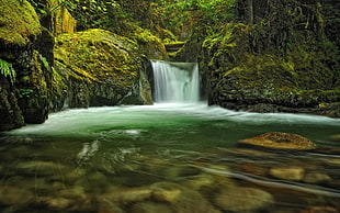 green and black colored waterfalls with falling water through the river HD wallpaper