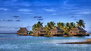 brown wooden houses and green palm trees, sea, HDR, palm trees