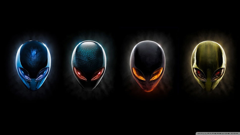 four assorted-color Alieware logos HD wallpaper