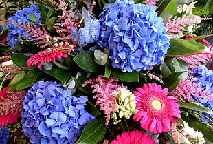 multicolored floral arrangement