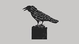 black bird illustration HD wallpaper