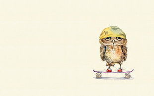 brown owl with yellow helmet on skateboard digital wallpaper