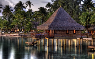 brown nipa hut on body of water at daytime
