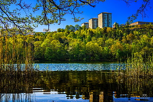 photo of green trees and body of water across city buildings during daytime, sweden HD wallpaper