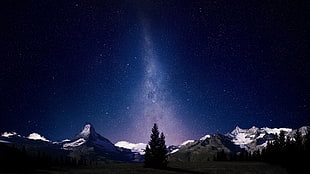 silhouette of pine trees, Milky Way, night sky, nature