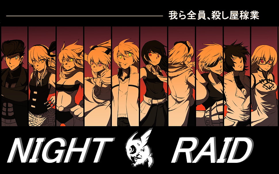 Night Raid anime wallpaper HD wallpaper