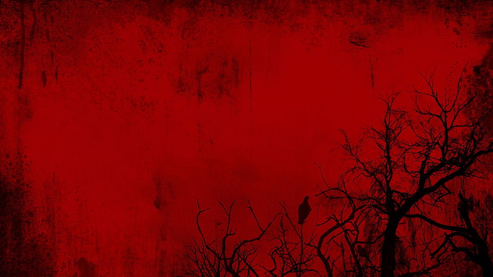 minimalism, trees, red background, grunge HD wallpaper