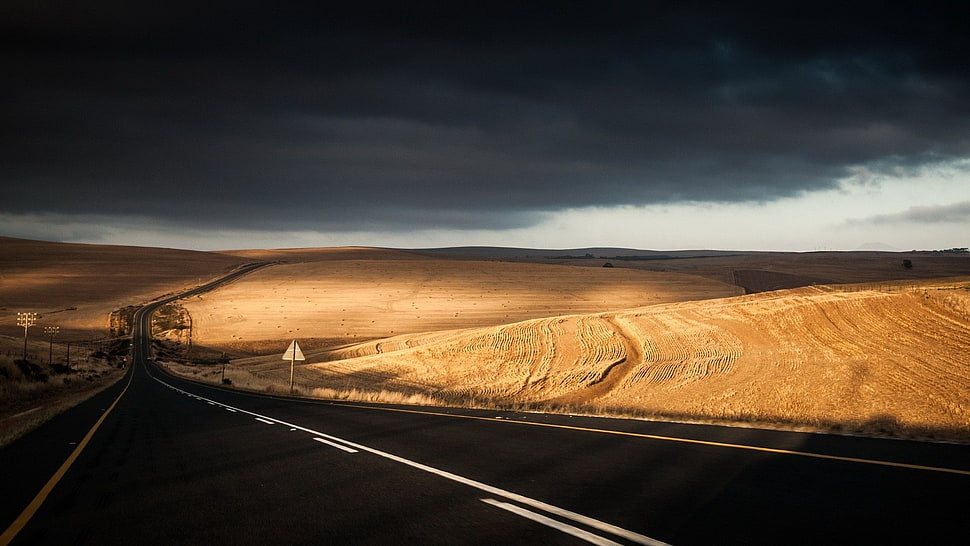 gray paved street, landscape, road HD wallpaper