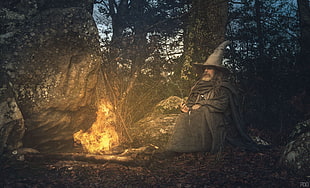 wizard sitting beside tree digital wallpaper, Priscilla DO, fantasy art, men, fireplace