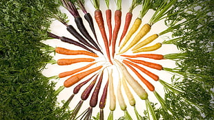 assorted-color carrots, food, vegetables