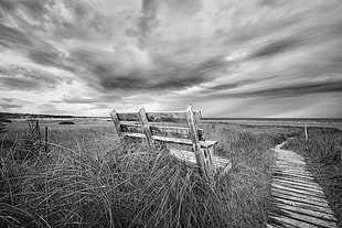 grey scale photo of bench in field