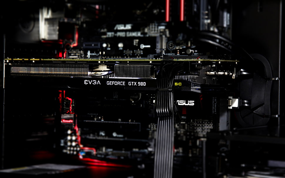 black EVGA Geforce GTX graphics card HD wallpaper