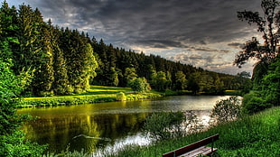 landscape photo green tree near body of water HD wallpaper
