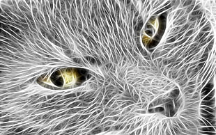 closeup photo of gray animal face artwork