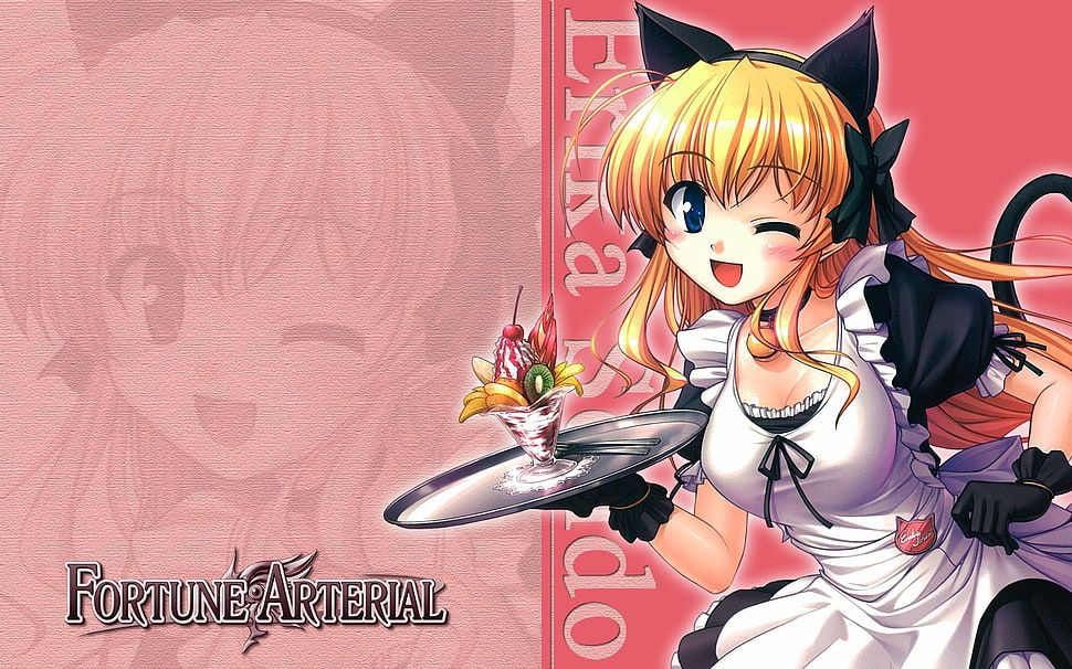 Fortune Arterial Erika in maid costume anime wallpaper HD wallpaper