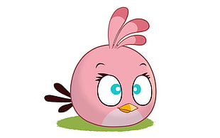pink Angry Bird digital wallpaper