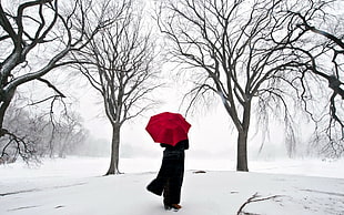 person wearing black holding red umbrella on snow plain