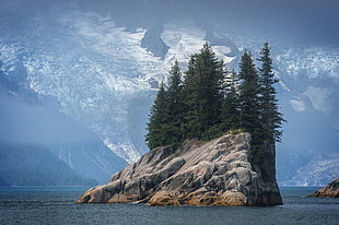 trees and island, nature, landscape, water, rock