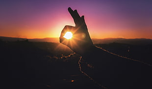 Silhouette photo of person hand under clear sky during sunset