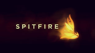 Spitfire logo, My Little Pony, Stealth_MLP HD wallpaper
