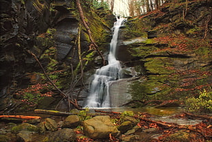 waterfalls in forest HD wallpaper