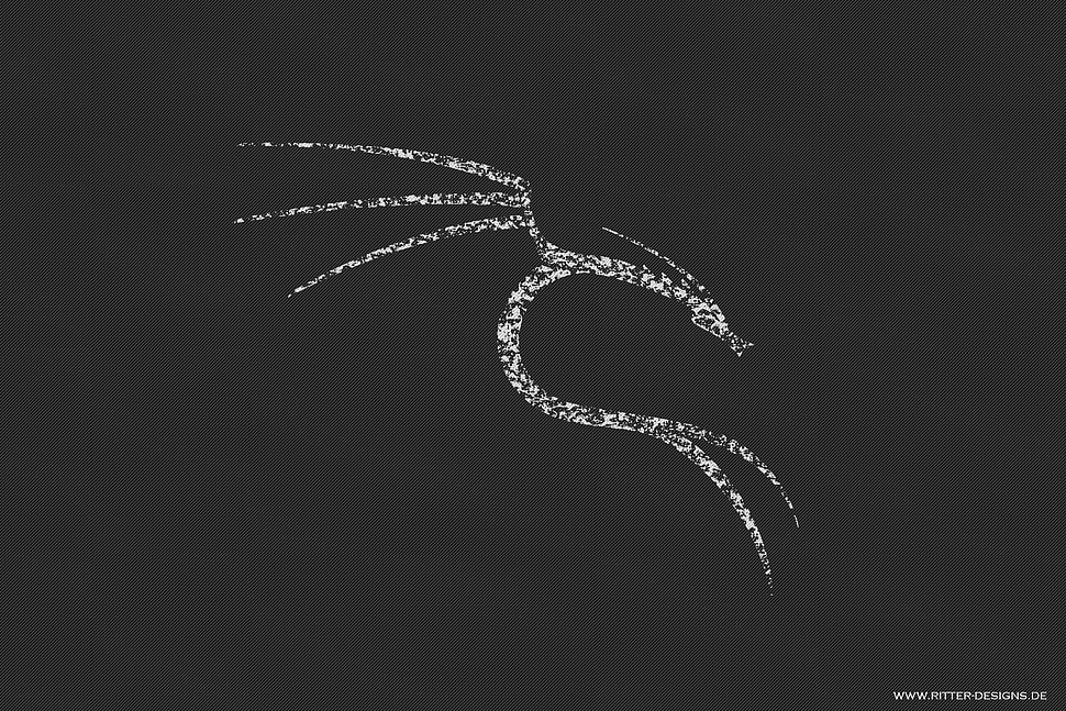 white animal with wing logo HD wallpaper