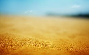 selective photography of brown sand
