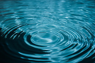 body of water, Water, Circles, Close-up